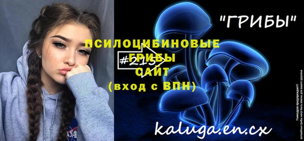 метамфетамин Алексин