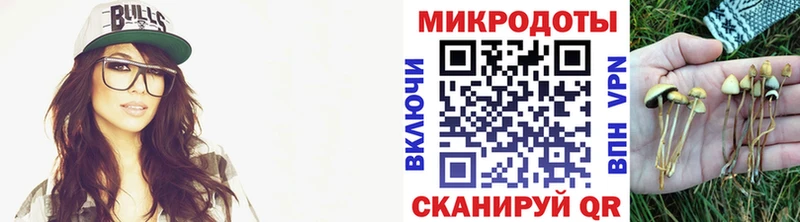 Псилоцибиновые грибы мухоморы Куровское