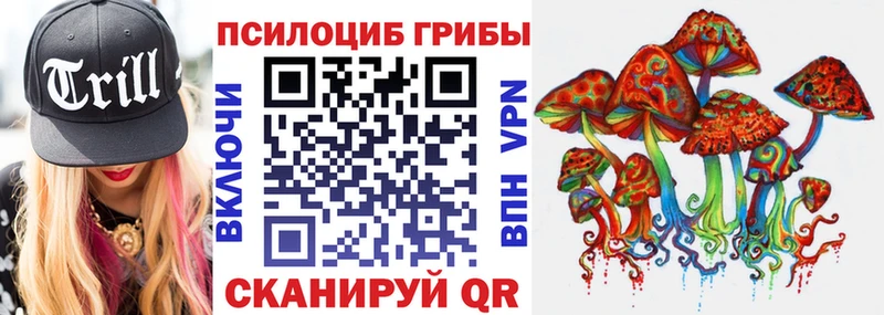 Псилоцибиновые грибы MAGIC MUSHROOMS  кракен рабочий сайт  Куровское 